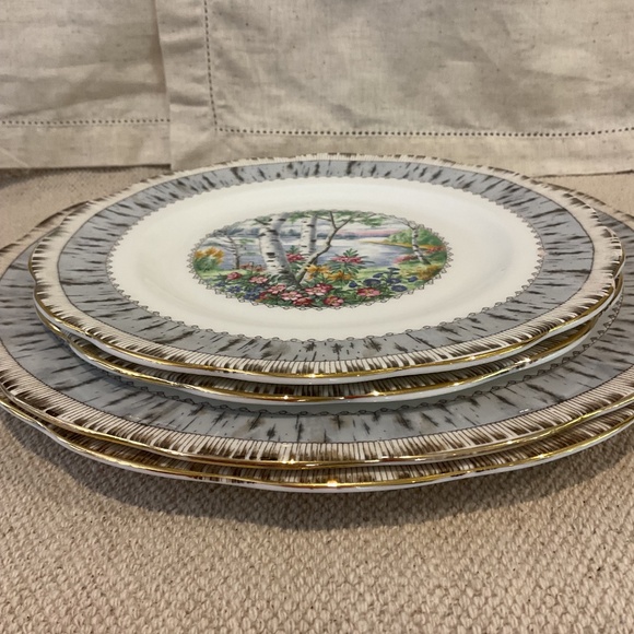 Set of Silver Birch by Royal Albert Fine Bone China Dishware Gold Rimmed EUC - Picture 2 of 9